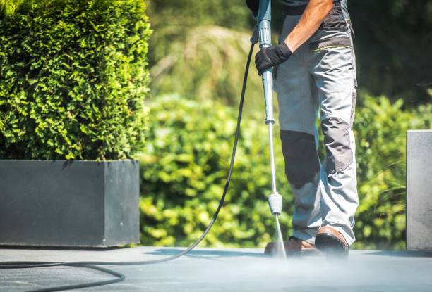 Best Dumpster Area Cleaning  in Silver Lake, NJ