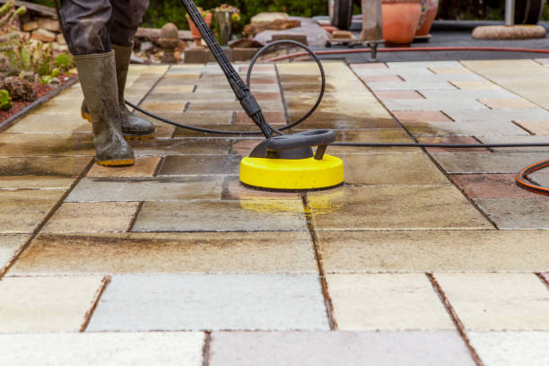 Animal Enclosure Cleaning in Silver Lake, NJ