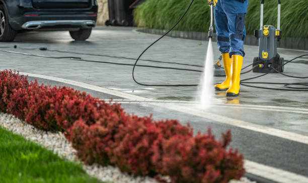 Best Driveway Pressure Washing  in Silver Lake, NJ